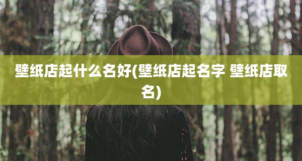 壁纸店起什么名好(壁纸店起名字 壁纸店取名)