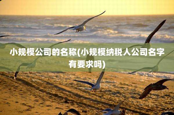 小规模公司的名称(小规模纳税人公司名字有要求吗)