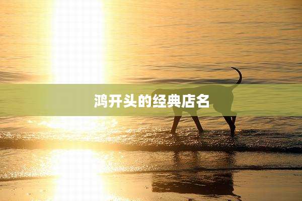鸿开头的经典店名