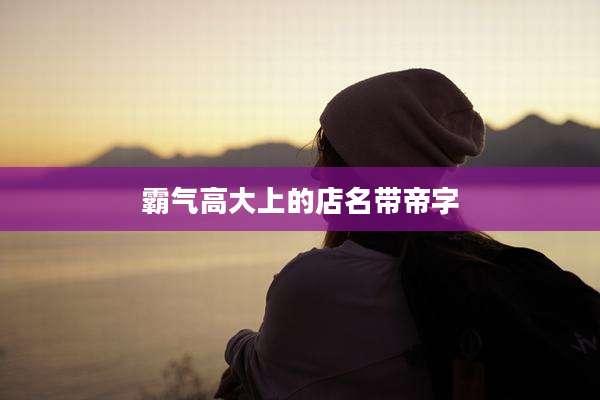 霸气高大上的店名带帝字