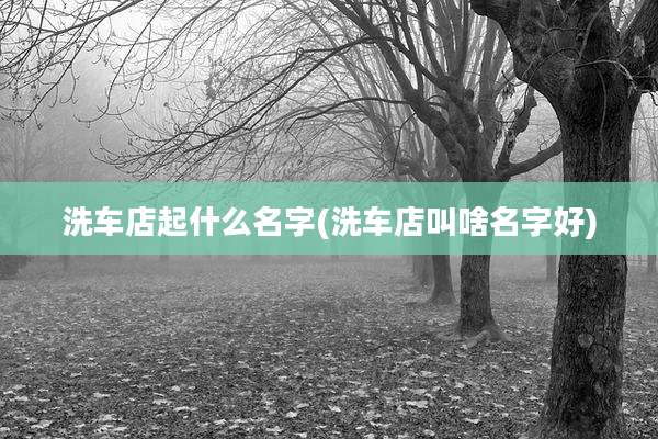 洗车店起什么名字(洗车店叫啥名字好)
