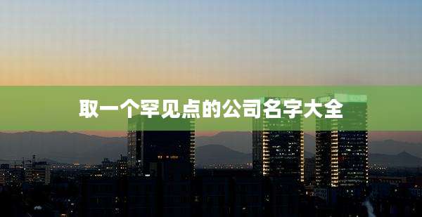 取一个罕见点的公司名字大全