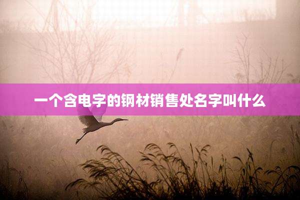 一个含电字的钢材销售处名字叫什么