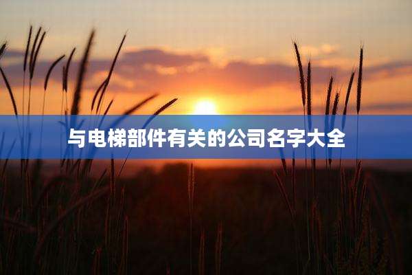 与电梯部件有关的公司名字大全