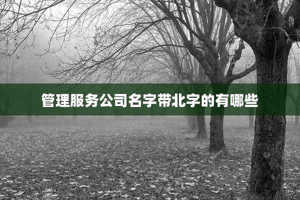 管理服务公司名字带北字的有哪些