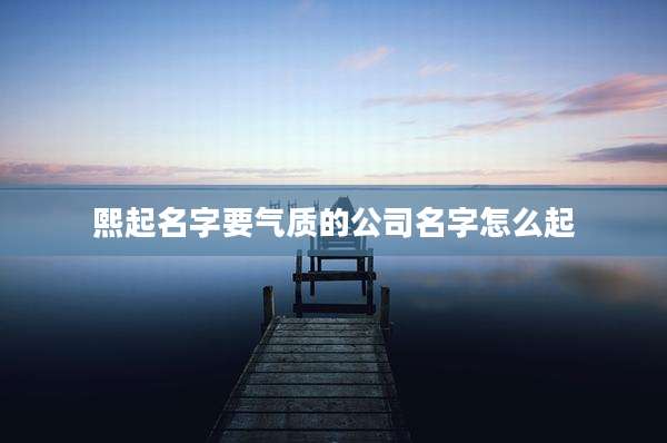 熙起名字要气质的公司名字怎么起