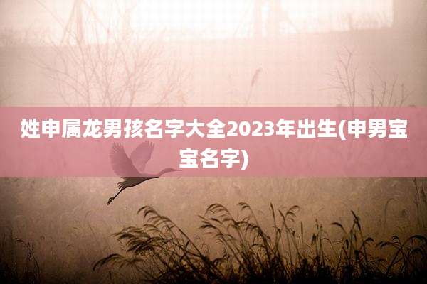 姓申属龙男孩名字大全2023年出生(申男宝宝名字)