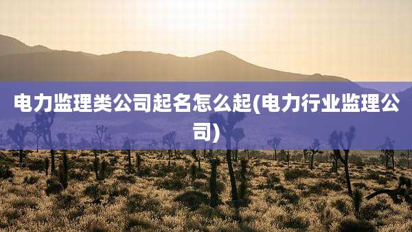 电力监理类公司起名怎么起(电力行业监理公司)