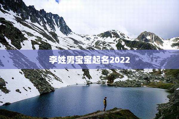 李姓男宝宝起名2022