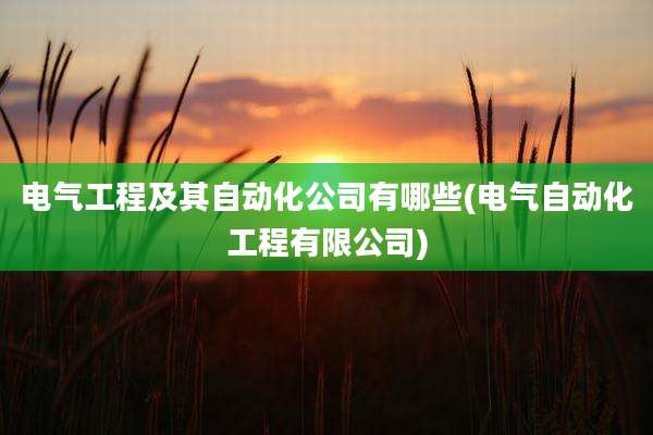 电气工程及其自动化公司有哪些(电气自动化工程有限公司)