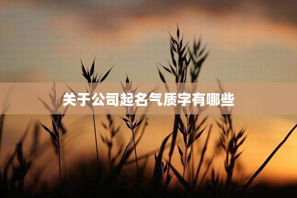 关于公司起名气质字有哪些