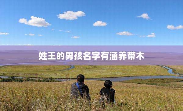 姓王的男孩名字有涵养带木