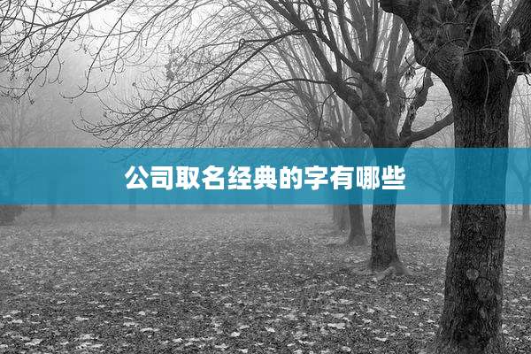 公司取名经典的字有哪些