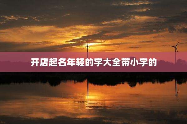 开店起名年轻的字大全带小字的