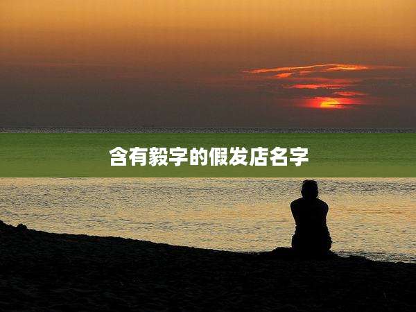 含有毅字的假发店名字