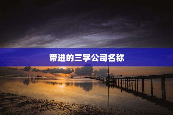 带进的三字公司名称