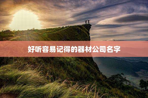 好听容易记得的器材公司名字
