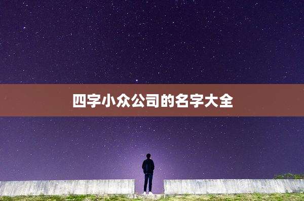 四字小众公司的名字大全