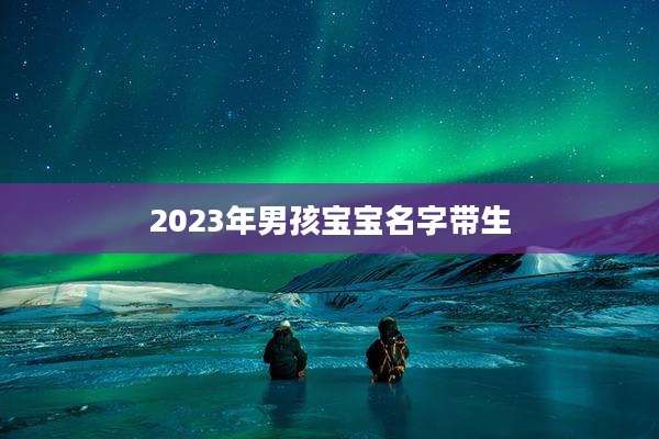 2023年男孩宝宝名字带生