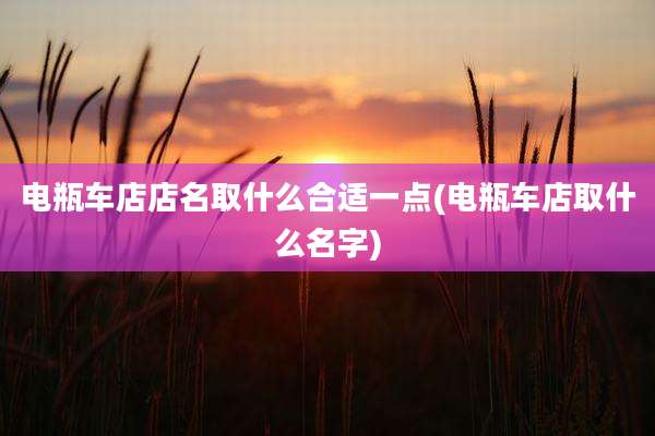 电瓶车店店名取什么合适一点(电瓶车店取什么名字)