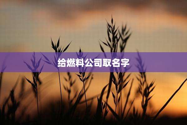 给燃料公司取名字