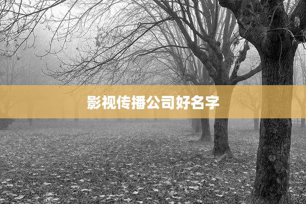 影视传播公司好名字