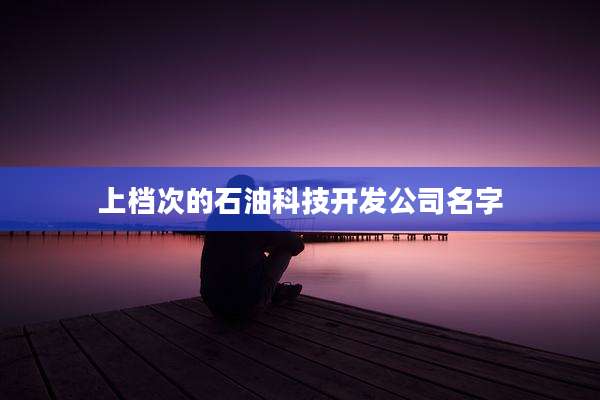 上档次的石油科技开发公司名字
