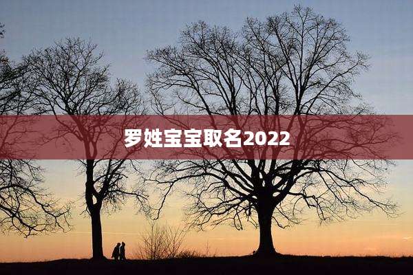 罗姓宝宝取名2022