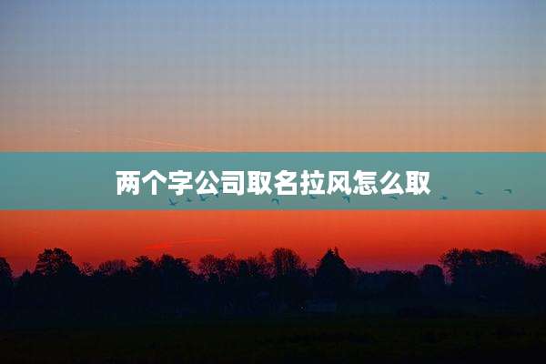 两个字公司取名拉风怎么取