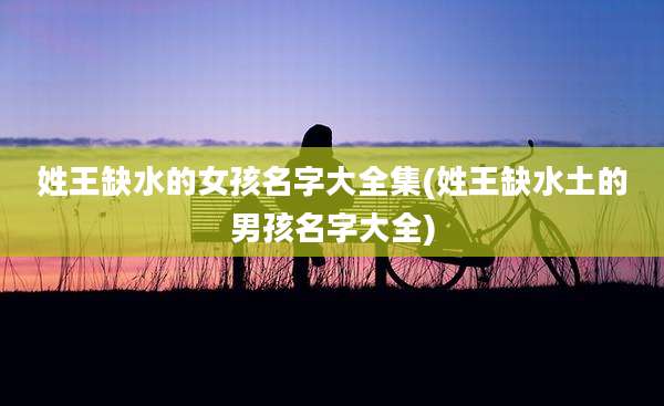 姓王缺水的女孩名字大全集(姓王缺水土的男孩名字大全)