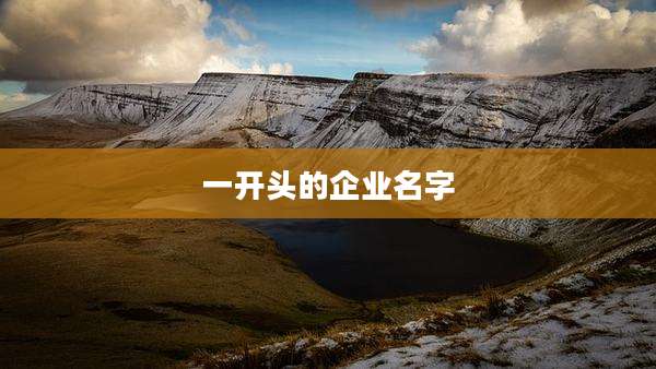 一开头的企业名字