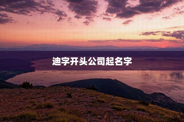 迪字开头公司起名字