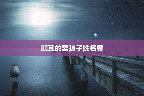 顺耳的男孩子姓名冀