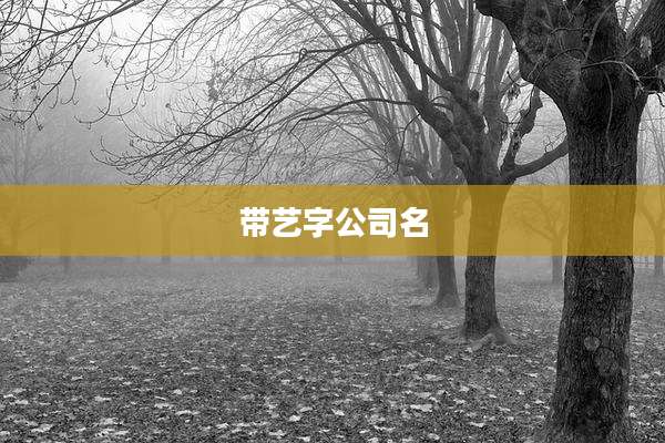 带艺字公司名