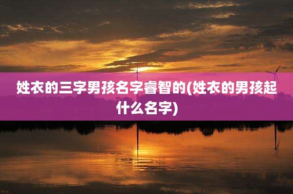 姓衣的三字男孩名字睿智的(姓衣的男孩起什么名字)