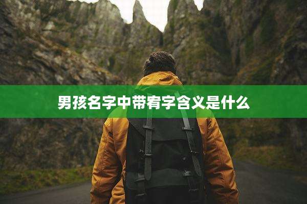 男孩名字中带宥字含义是什么