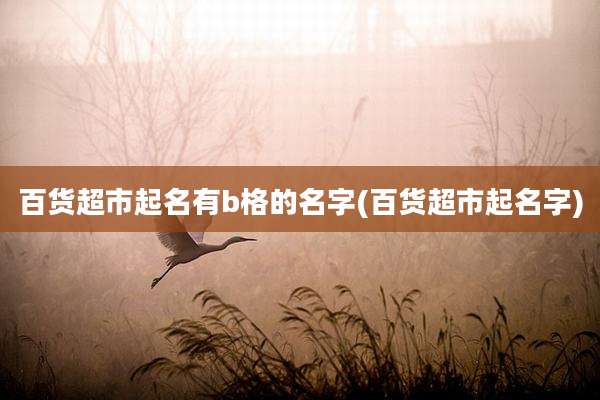 百货超市起名有b格的名字(百货超市起名字)