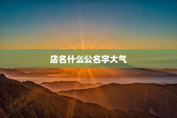 店名什么公名字大气