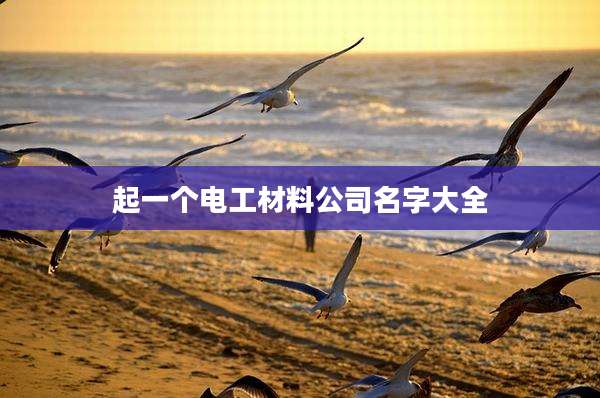 起一个电工材料公司名字大全
