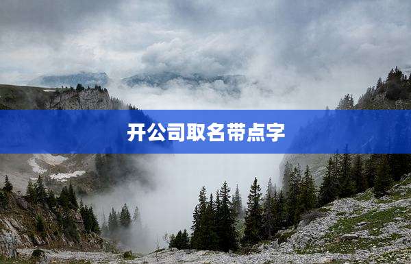 开公司取名带点字