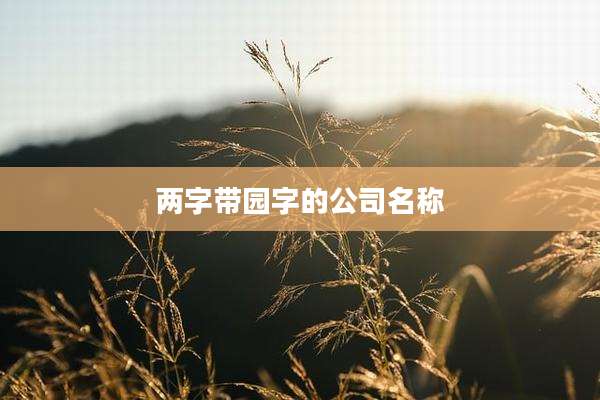 两字带园字的公司名称
