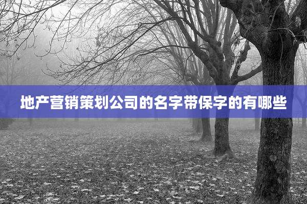 地产营销策划公司的名字带保字的有哪些