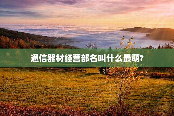 通信器材经营部名叫什么最萌?