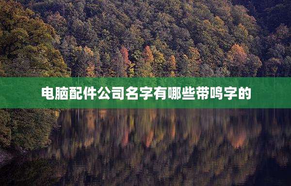 电脑配件公司名字有哪些带鸣字的