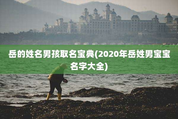 岳的姓名男孩取名宝典(2020年岳姓男宝宝名字大全)