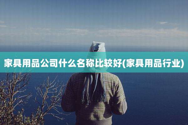 家具用品公司什么名称比较好(家具用品行业)