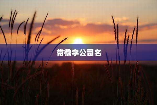 带徽字公司名