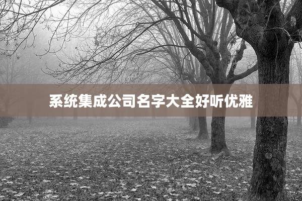 系统集成公司名字大全好听优雅