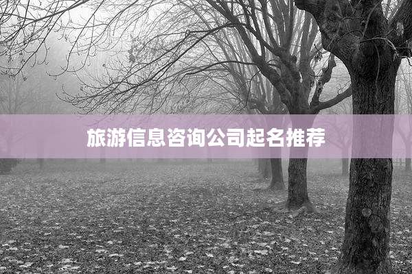 旅游信息咨询公司起名推荐