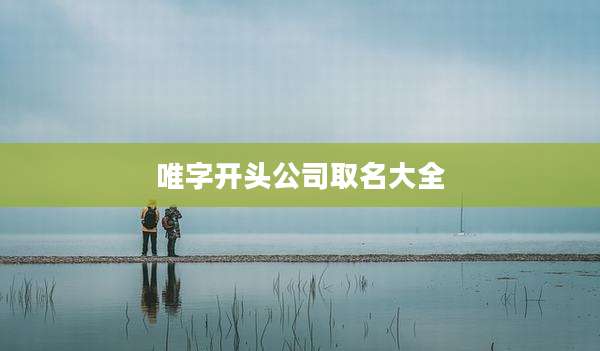 唯字开头公司取名大全